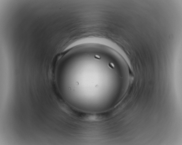 X0000114200611200910091254