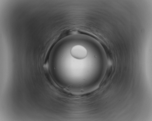 X0000114200613200910091254
