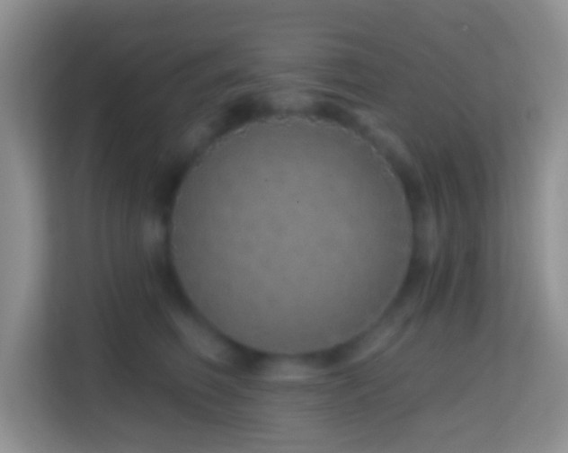 X0000114200614200910091254
