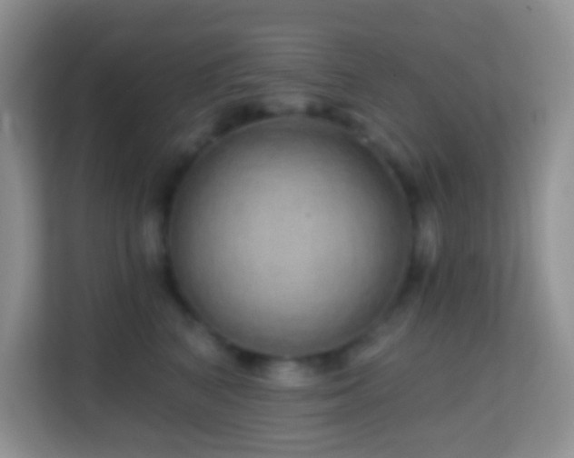X0000114200616200910091254