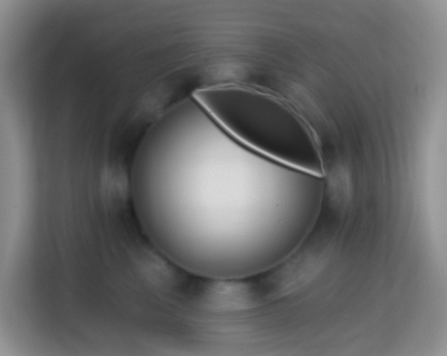 X0000114200617200910091254