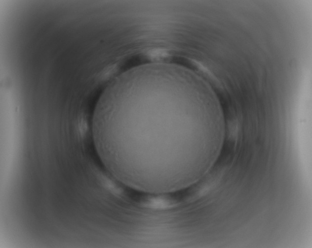 X0000114200618200910091254