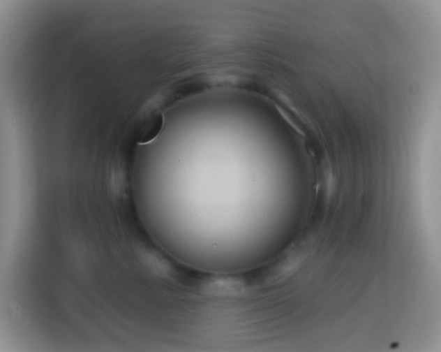 X0000114200619200910091254