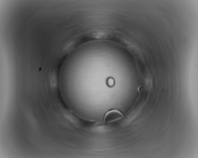 X0000114200620200910091254