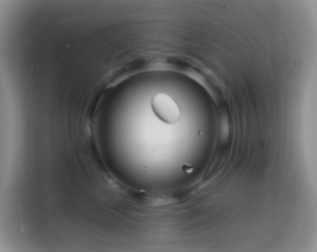 X0000114200621200910091254