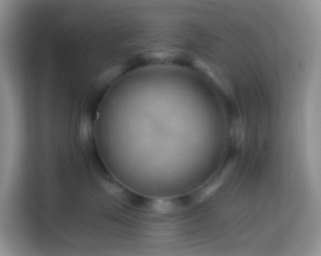 X0000114200623200910091254