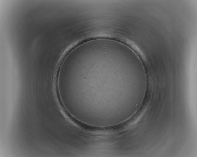 X0000114200625200910091253