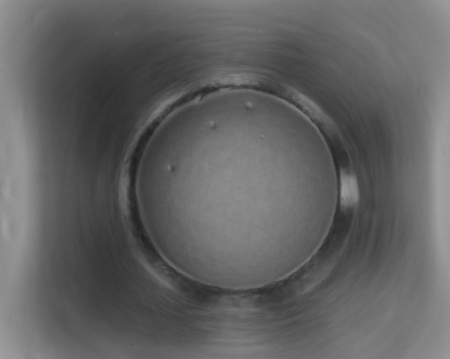 X0000114200627200910091253