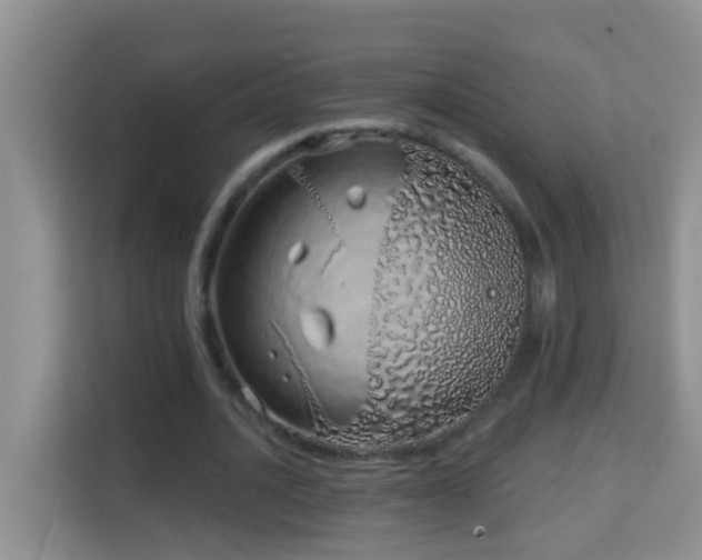 X0000114200628200910091253