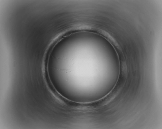 X0000114200629200910091253