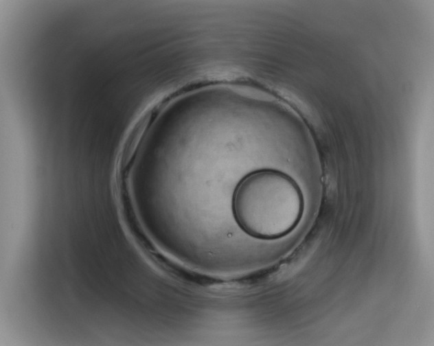 X0000114200630200910091253