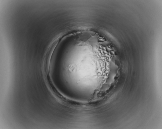 X0000114200634200910091253