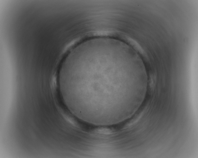 X0000114200636200910091253