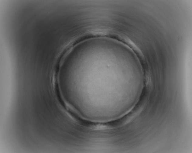 X0000114200637200910091253