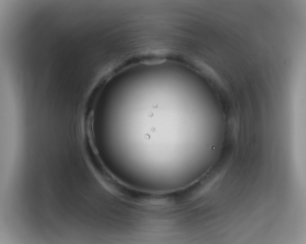 X0000114200638200910091253