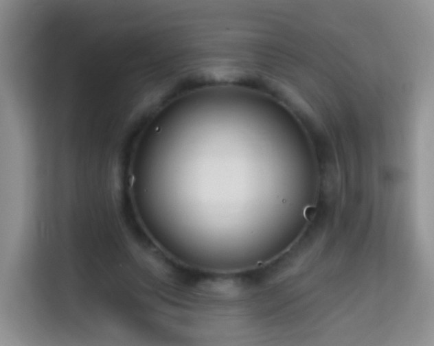 X0000114200639200910091253