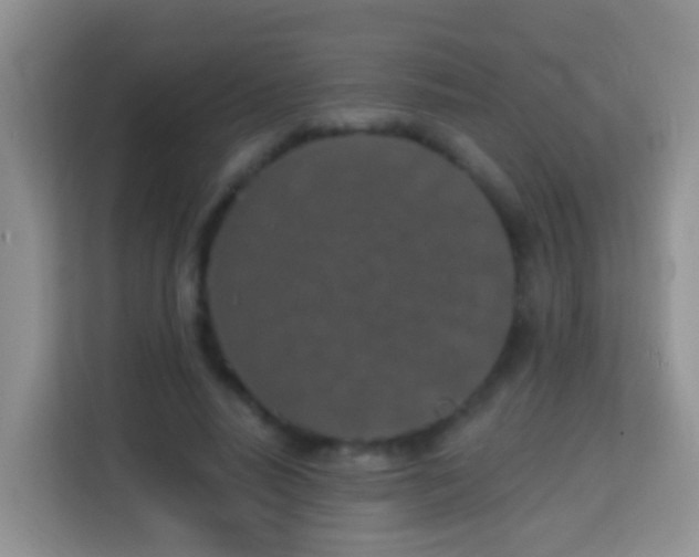 X0000114200640200910091253