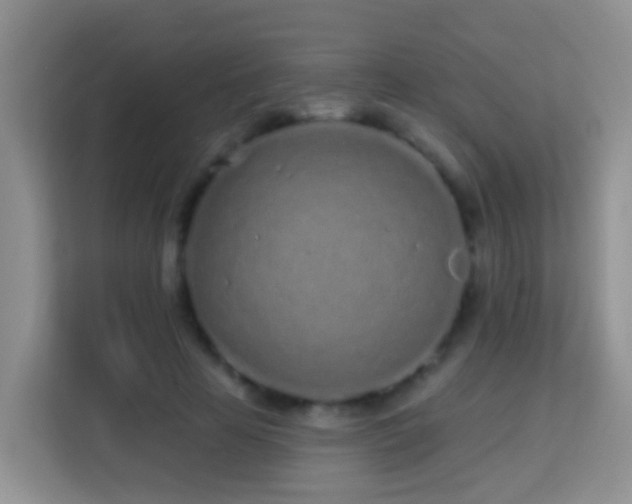 X0000114200641200910091253
