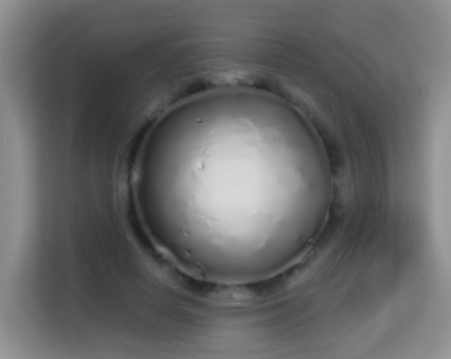 X0000114200642200910091253