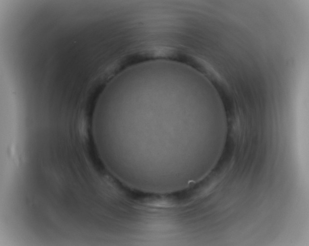X0000114200643200910091253