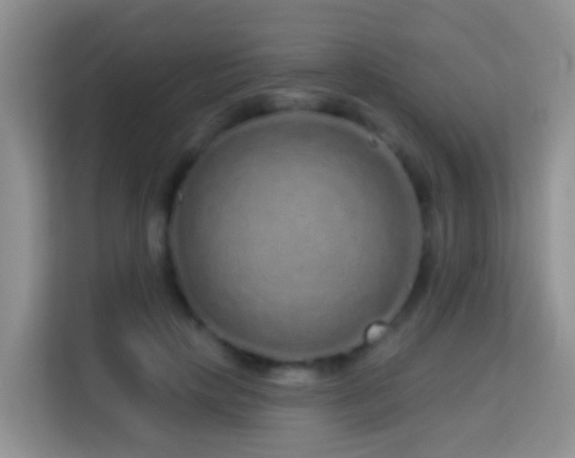 X0000114200649200910091253