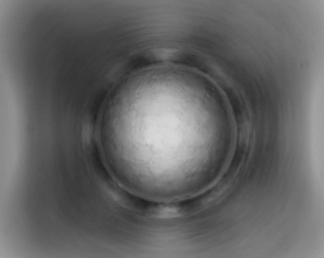 X0000114200651200910091253