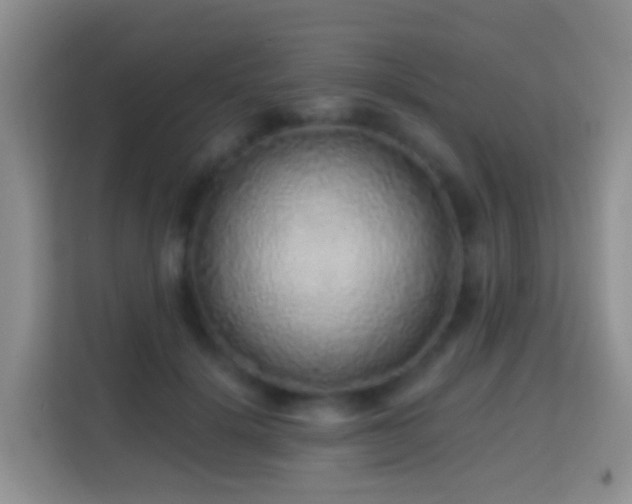 X0000114200652200910091253