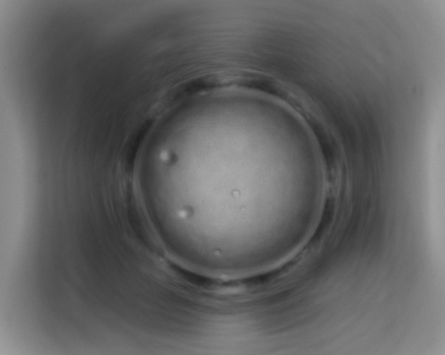 X0000114200653200910091253