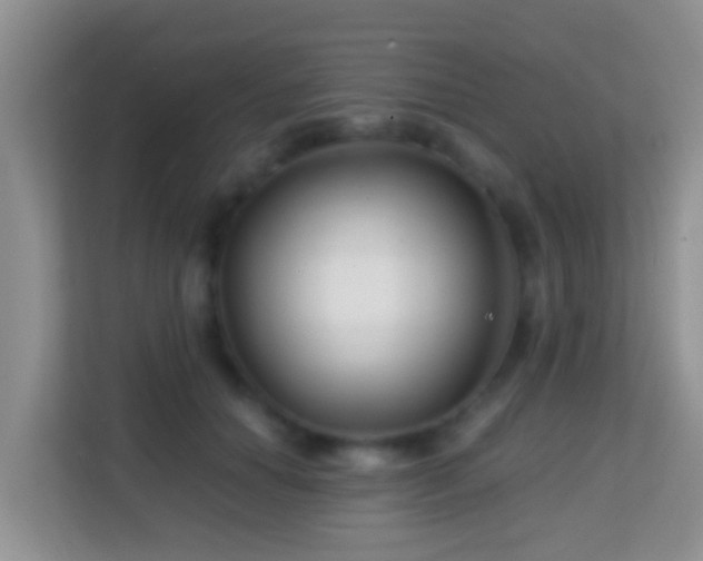 X0000114200654200910091253