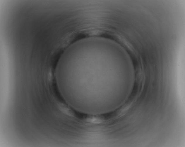 X0000114200655200910091253
