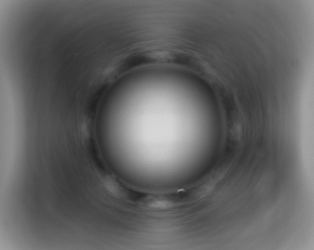 X0000114200658200910091253