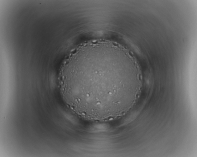 X0000114200659200910091253