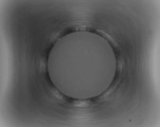 X0000114200661200910091254