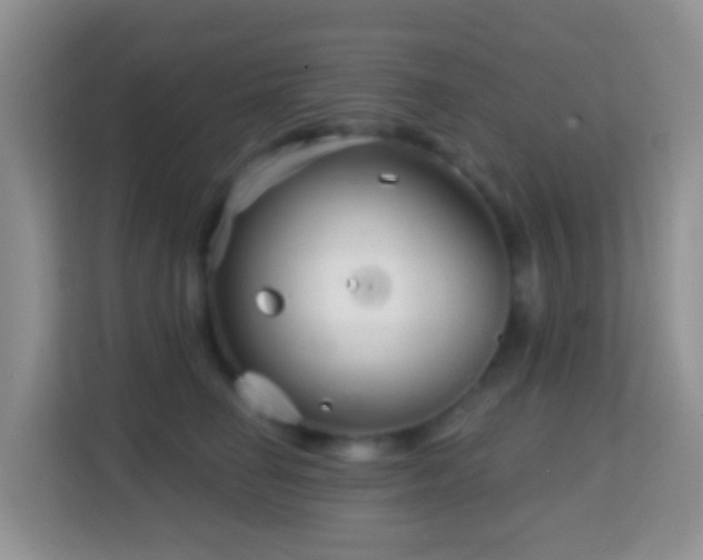 X0000114200662200910091254