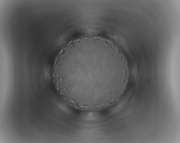 X0000114200663200910091254