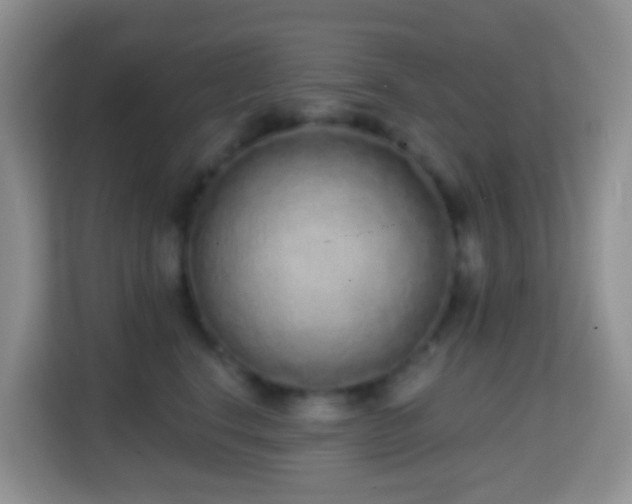 X0000114200664200910091254