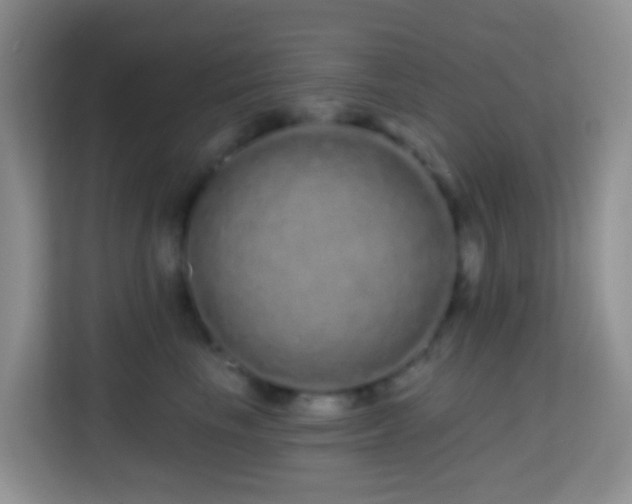 X0000114200665200910091254