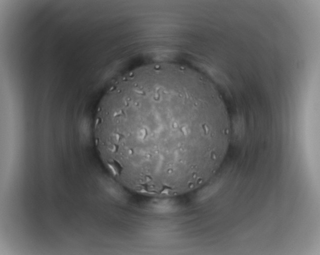 X0000114200667200910091254