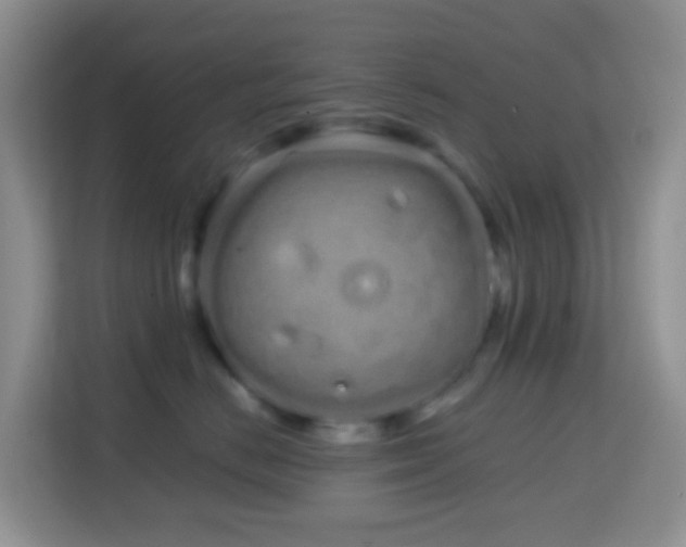 X0000114200670200910091254