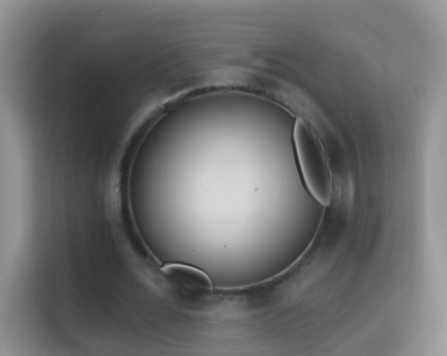 X0000114200676200910091253