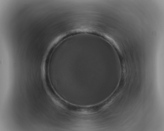 X0000114200678200910091253