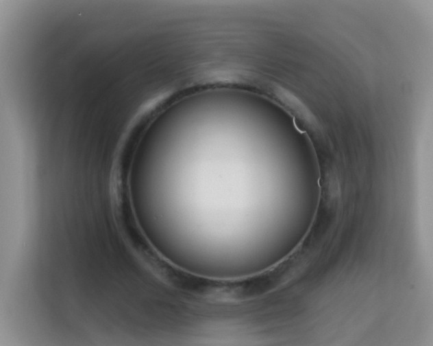 X0000114200680200910091253