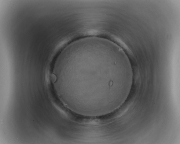 X0000114200683200910091253
