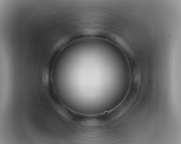 X0000114200685200910091253