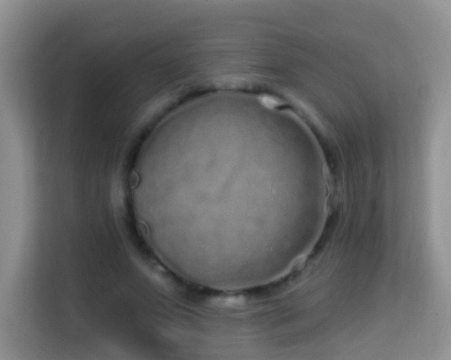 X0000114200687200910091253