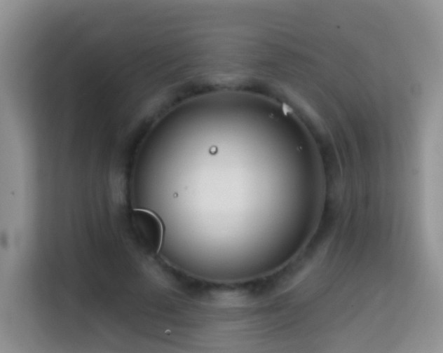 X0000114200689200910091253