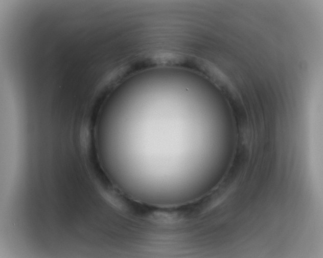 X0000114200690200910091253