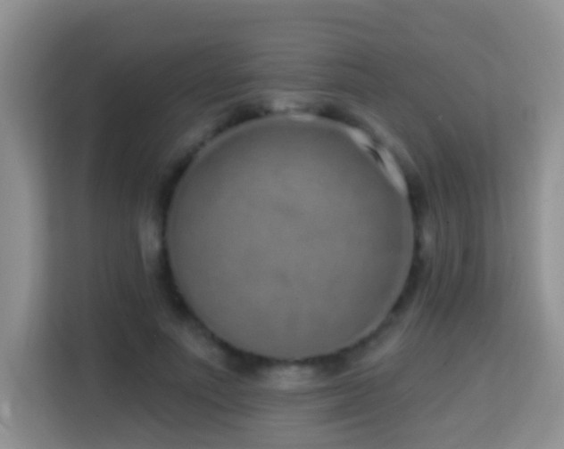 X0000114200691200910091253