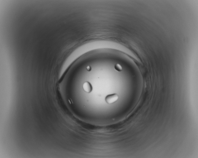 X0000114200692200910091253