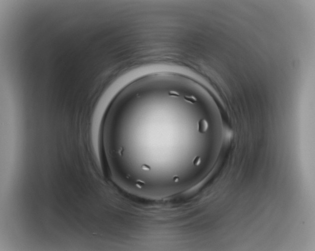 X0000114200693200910091253